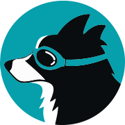 Canine Stroke Foundation logo