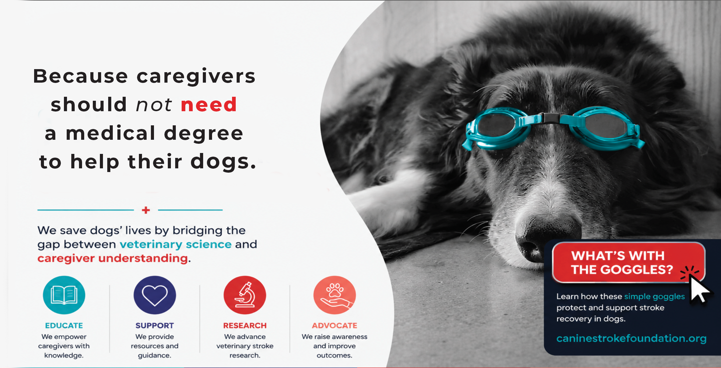 A dog wearing teal recovery goggles rests on the floor. Headline: Because pet parents should not need a medical degree to help their dogs. We save dogs' lives by bridging the gap between veterinary science and pet parent understanding. Educate, Support, Research, Advocate.