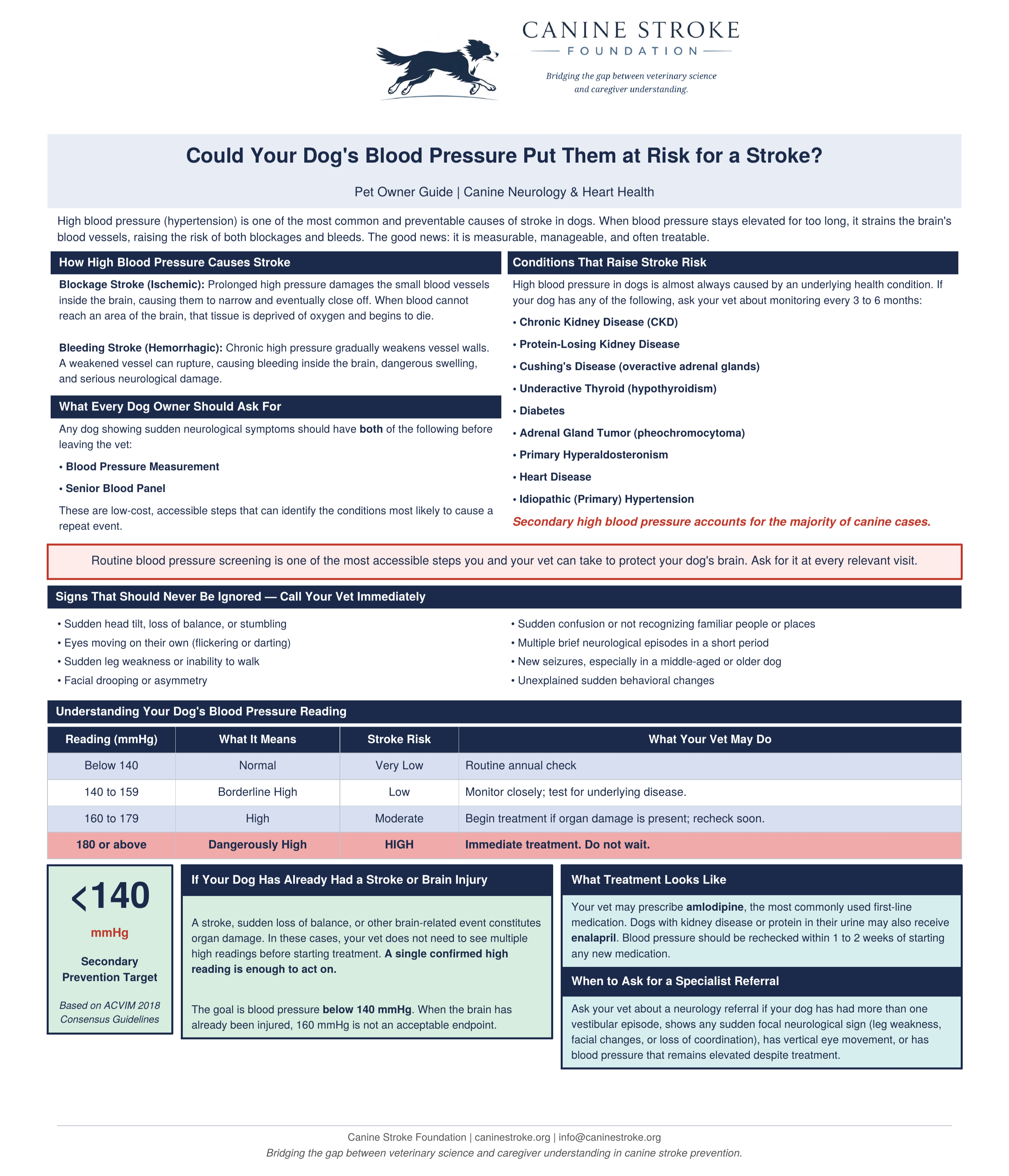 Could Your Dog's Blood Pressure Put Them at Risk for a Stroke - pet owner hypertension handout preview